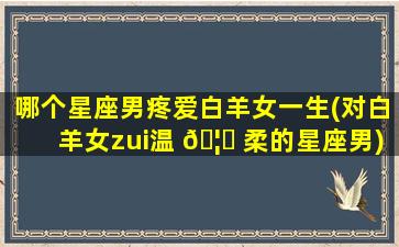 哪个星座男疼爱白羊女一生(对白羊女zui
温 🦉 柔的星座男)